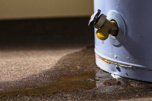 Best Flood restoration services  in South Bradenton, FL