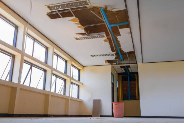 Best Flood damage cleanup  in South Bradenton, FL