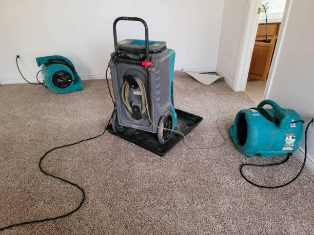 Best Mold removal after water damage  in South Bradenton, FL
