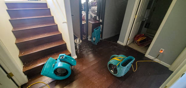 Best Water damage contractors near me  in South Bradenton, FL