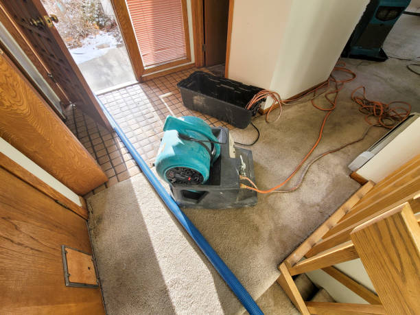 Best Water damage repair service  in South Bradenton, FL