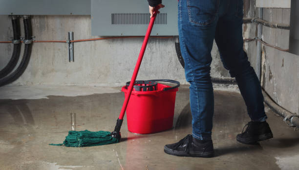 Best Flooded house restoration  in South Bradenton, FL