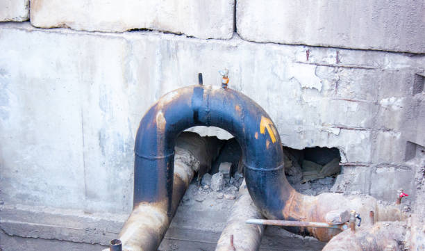Best Local water damage restoration  in South Bradenton, FL