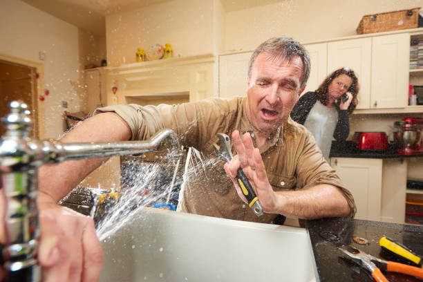 Best Water damage cleanup near me  in South Bradenton, FL